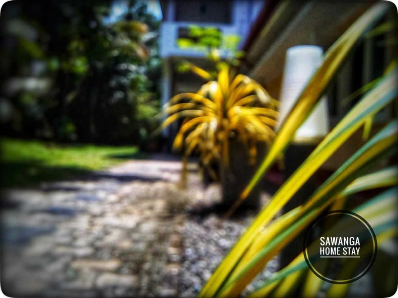 Sawanga Home Stay Weligama Luaran gambar